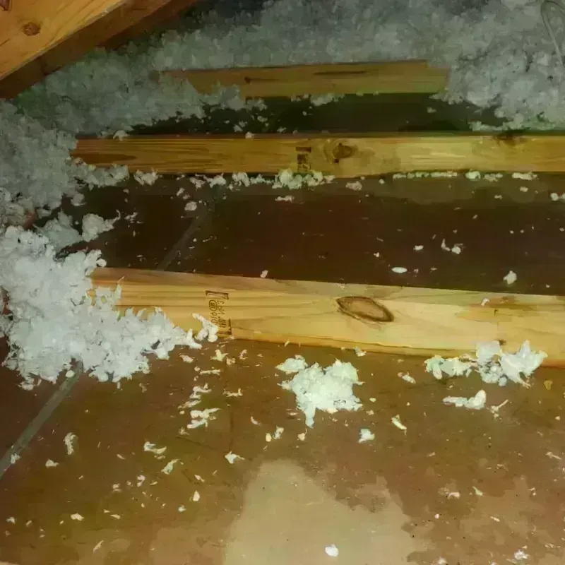 Attic Water Damage in Ione, CA