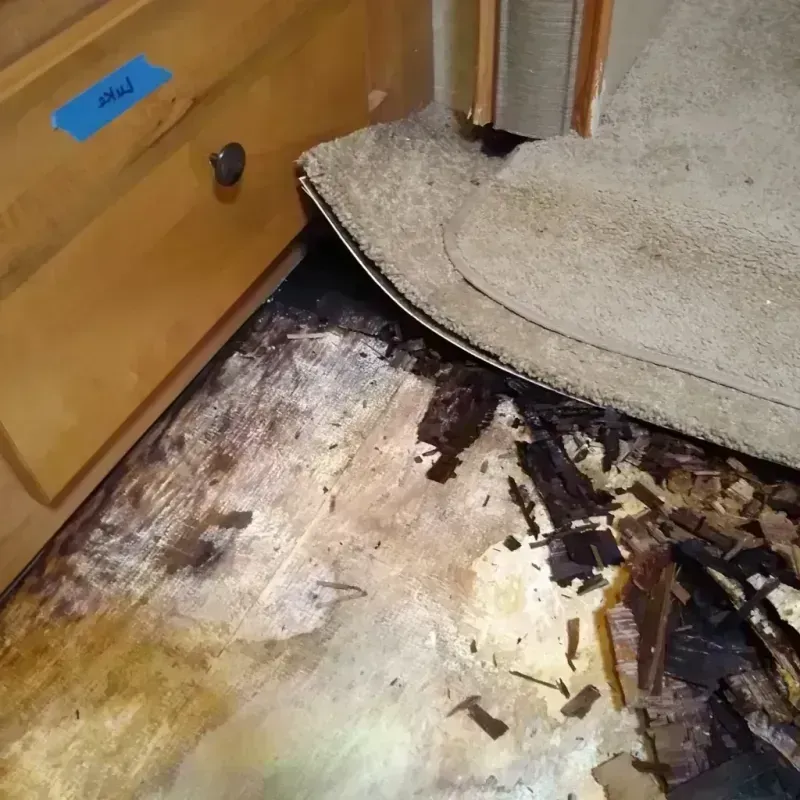 Wood Floor Water Damage in Ione, CA